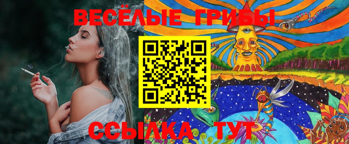 даркнет сайт  Вход с VPN  Магадан  Псилоцибиновые грибы мухоморы 